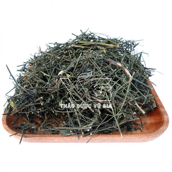 Thảo Dược Xuyên Tâm Liên